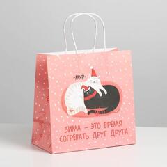 !09 Пакет подарочный (набор 3 штуки) «Время согревать», 22 × 22 × 11 см.