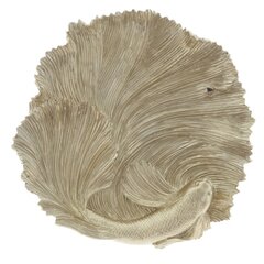 Блюдо декоративное, L28 W28 H4 см