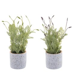 Цветочная композиция, L19 W19 H34 см, 2в.