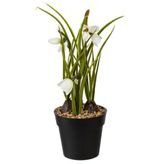 Цветочная композиция "Подснежник", L10 W9,5 H29 см