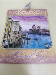 !НАБОР 2 ШТУКИ - Пакет подарочный "Генуя" ламинат 26*32 см.