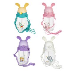 Бутылка, 450 мл, L8 W8 H19,5 см, 4в.