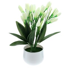 Цветочная композиция "Крокусы", L18 W12 H28 см