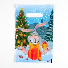 !Пакет "Зайка на льду", 10 штук полиэтиленовый с вырубной ручкой, 20х30 см, 30 мкм