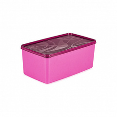 Контейнер для заморозки ALASKA 3.5л фуксия