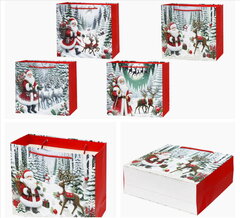 Пакет подарочный (бумага 210г/м2, блок 12шт), L26 W10 H32 см, 4в.