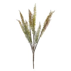 Ветка искусственная "Папоротник", L11 W11 H58 см