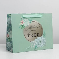 !09 Набор 2 штуки - Пакет ламинированный «Тебе» с пластиковым окном, 32,5 × 26,5 × 13,5 см