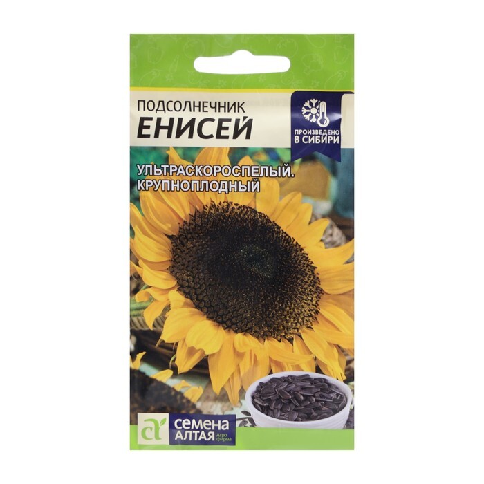 Семена Подсолнечника Енисей Купить