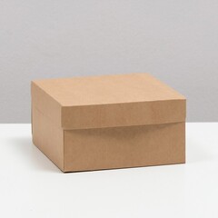 !09 Коробка (набор 5 штук) складная, крафт, 17 х 9 х 17 см.