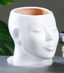 !09 Горшок - органайзер для цветов «Голова» керамика, 1.3 л, 16×16×14 см, без поддона цвет белый