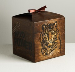 !Набор 3 штуки - Коробка складная Wild power, 18 × 18 × 18 см