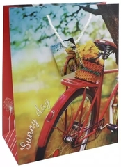 !Пакет подарочный бумажный "Путешествуй" 26х32 см.