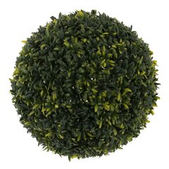 Цветочная композиция "Шар Самшит", L28 W28 H28 см