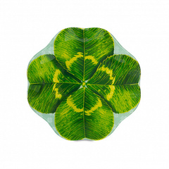 Блюдо КЛЕВЕР 25см