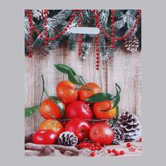 !09 Пакет "Композиция с мандаринами" (набор 5 штук) полиэтиленовый с вырубной ручкой, 40 х 31 см, 60 мкм.