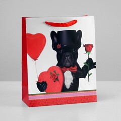 !09 Пакет (набор 3 штуки) подарочный ламинированный, 26 x 32 x 12 см.