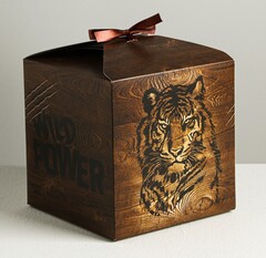 !09 Набор 3 штуки - Коробка складная Wild power, 18 × 18 × 18 см.