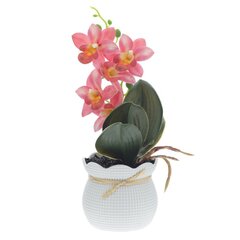 Цветочная композиция "Орхидея", L12,5 W11 H26 см