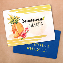 !НАБОР 3 ШТУКИ - Обложка на зачетную книжку "Ананас"