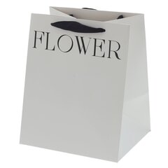 Пакет подарочный S (бумага 250г/м2, блок 10шт), L22 W19 H27 см