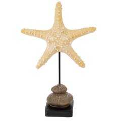 Фигурка декоративная "Морская звезда", Д24 Ш24 В37 см