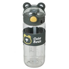 Бутылка, 650 мл, L7 W7 H21 см