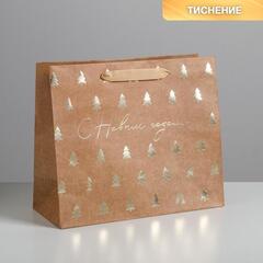 !Пакет крафтовый 2 штуки горизонтальный «Ёлочки», ML 27 x 23 x 11.5 см