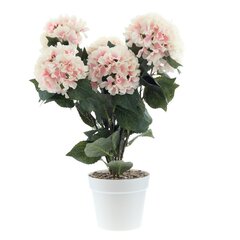 Цветочная композиция "Гортензия", L40 W30 H68 см