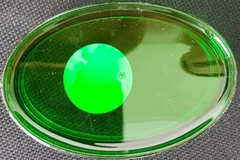 !09 Мыльница Fresh Code "Волна", цвет зеленый