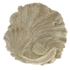 Блюдо декоративное, L28 W28 H4 см