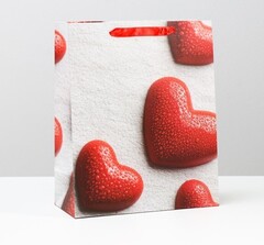 !09 Пакет (набор 4 штуки) ламинированный 26 x 32 x 12 см.