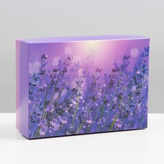 !09 Коробка подарочная, крышка-дно, сборная "Лаванда", 21 х 15 х 7 см.