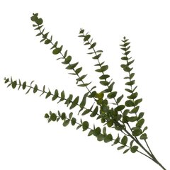 Ветка искусственная "Эвкалипт", L14 W9 H85 см