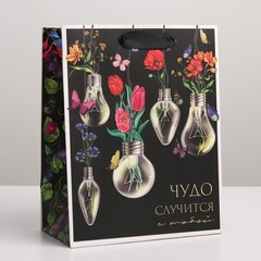 !09 Пакет (набор 5 штук) ламинированный вертикальный «Чудо», MS 18 × 23 × 10 см.