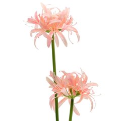 Цветы искусственные "Букет", L11 W11 H52 см