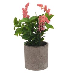 Цветочная композиция, L10 W10 H18 см