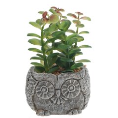 Цветочная композиция "Суккулент", L11 W11 H12 см