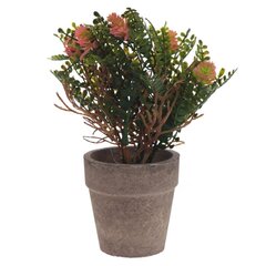 Цветочная композиция, L9 W9 H18 см