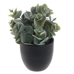 Цветочная композиция, L8 W8 H14 см