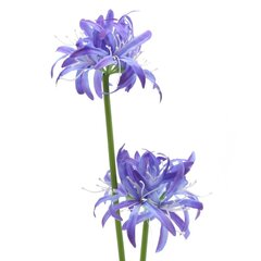 Цветы искусственные "Букет", L9 W9 H52 см