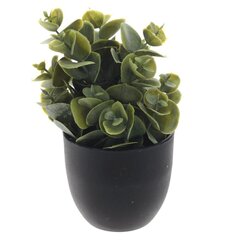 Цветочная композиция, L8 W8 H14 см