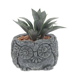 Цветочная композиция "Суккулент", L11 W11 H12 см