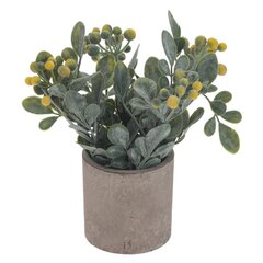 Цветочная композиция, L8 W8 H18 см