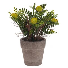 Цветочная композиция, L9 W9 H18 см