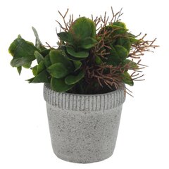 Цветочная композиция, L11 W11 H16 см