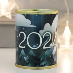 !Копилка банка-металл "2024 год"
