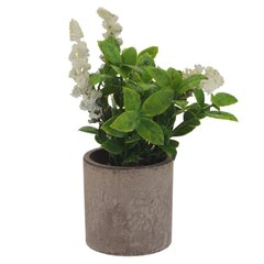 Цветочная композиция, L10 W10 H18 см