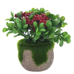 Цветочная композиция, L13 W13 H12 см