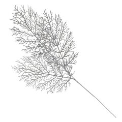 Изделие декоративное "Ветка", L2 W1 H78 см